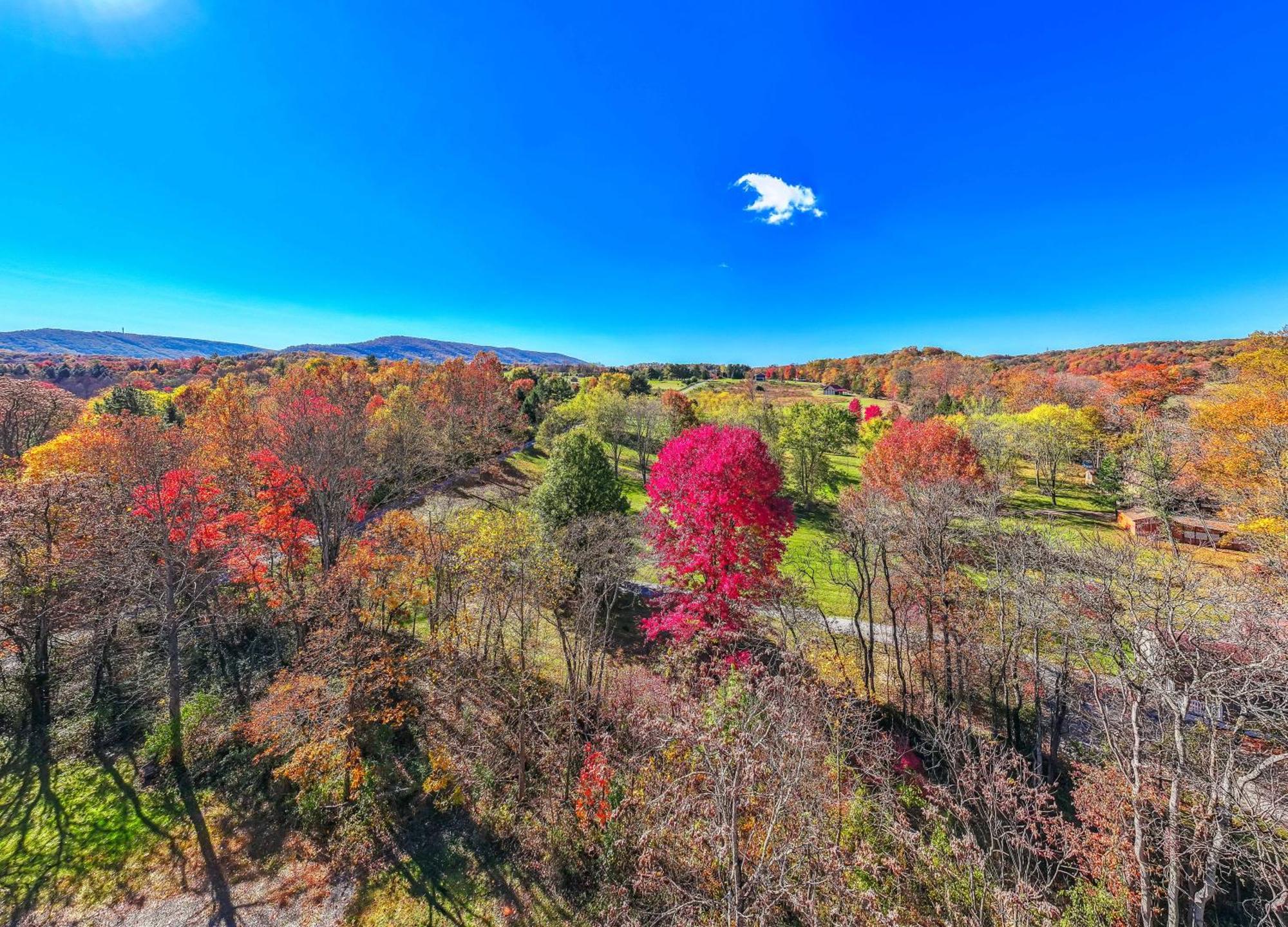 Summerfield Cottage At Sleepy Creek Berkeley Springs Exteriör bild