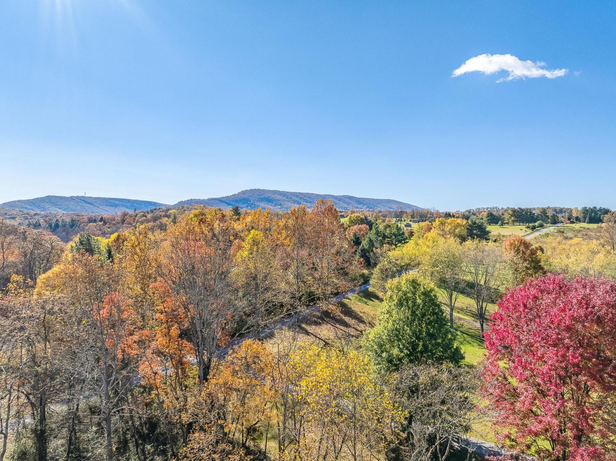 Summerfield Cottage At Sleepy Creek Berkeley Springs Exteriör bild