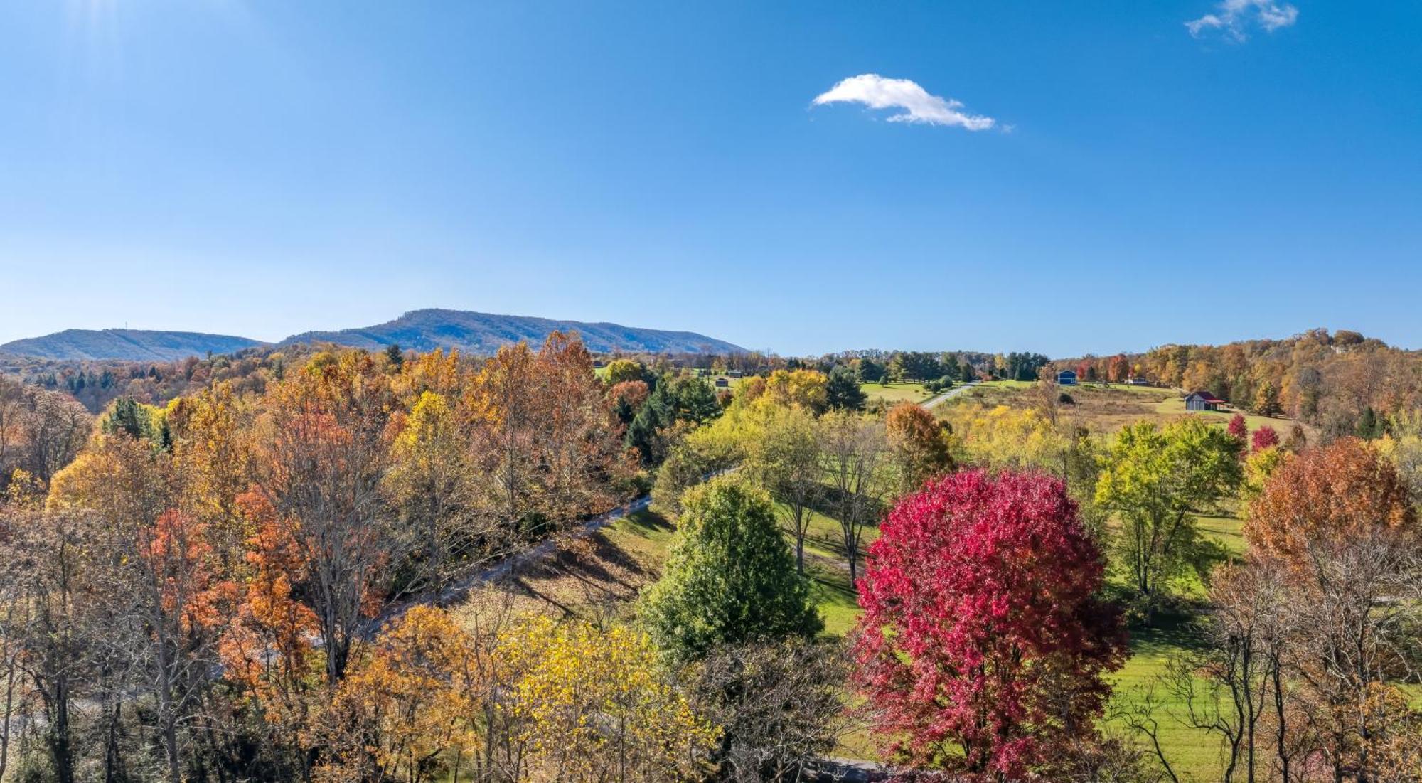 Summerfield Cottage At Sleepy Creek Berkeley Springs Exteriör bild